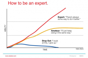 How To Be An Expert